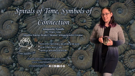 Spirals of Time, Symbols of Connection: Ammonite Fossils