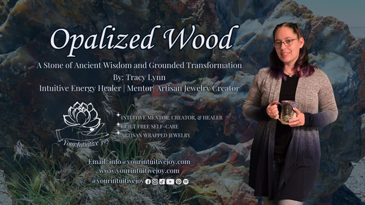 Opalized Wood: A Stone of Ancient Wisdom and Grounded Transformation