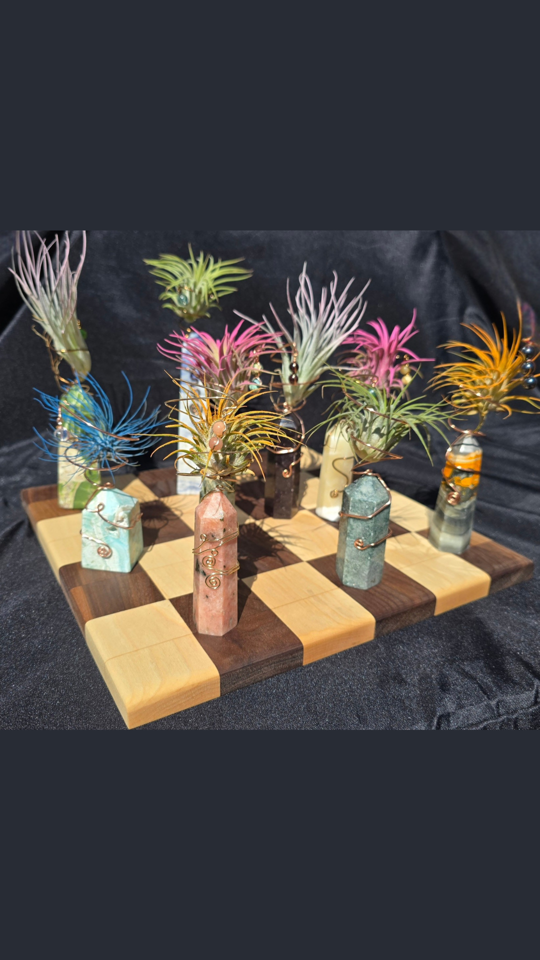Elemental Crystal Keepers - Air Plant Holder