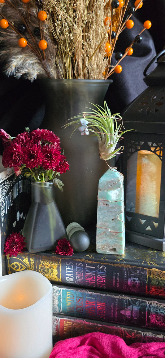 Elemental Crystal Keepers - Air Plant Holder