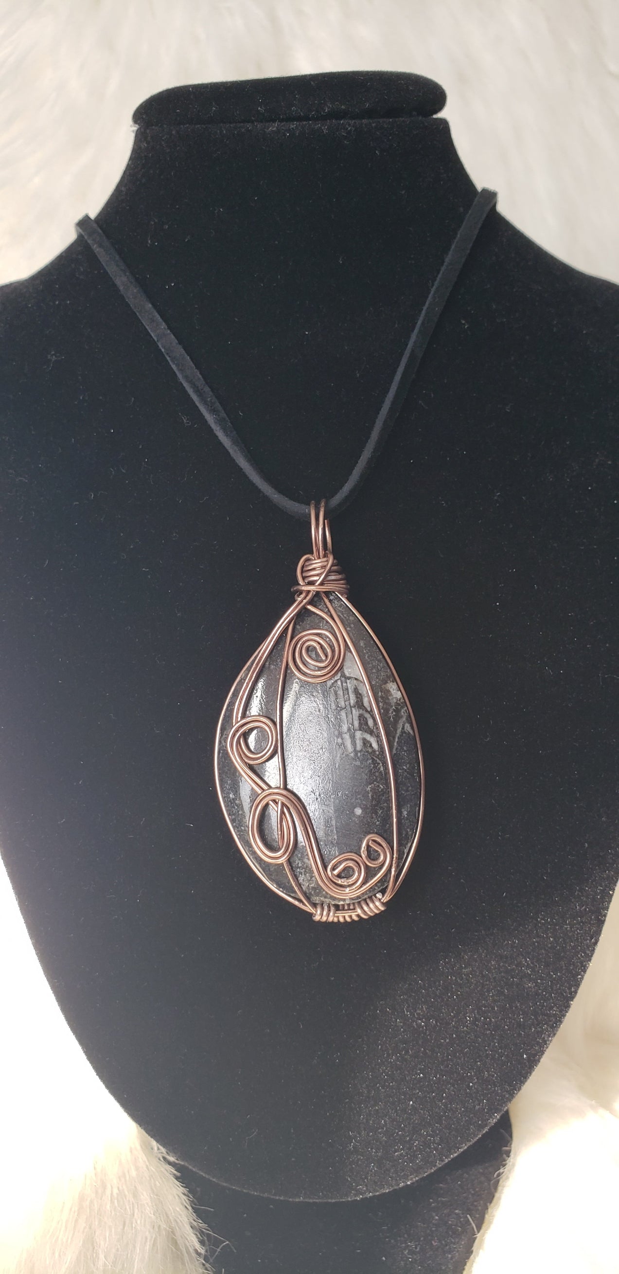 Journey in Time - Orthoceras