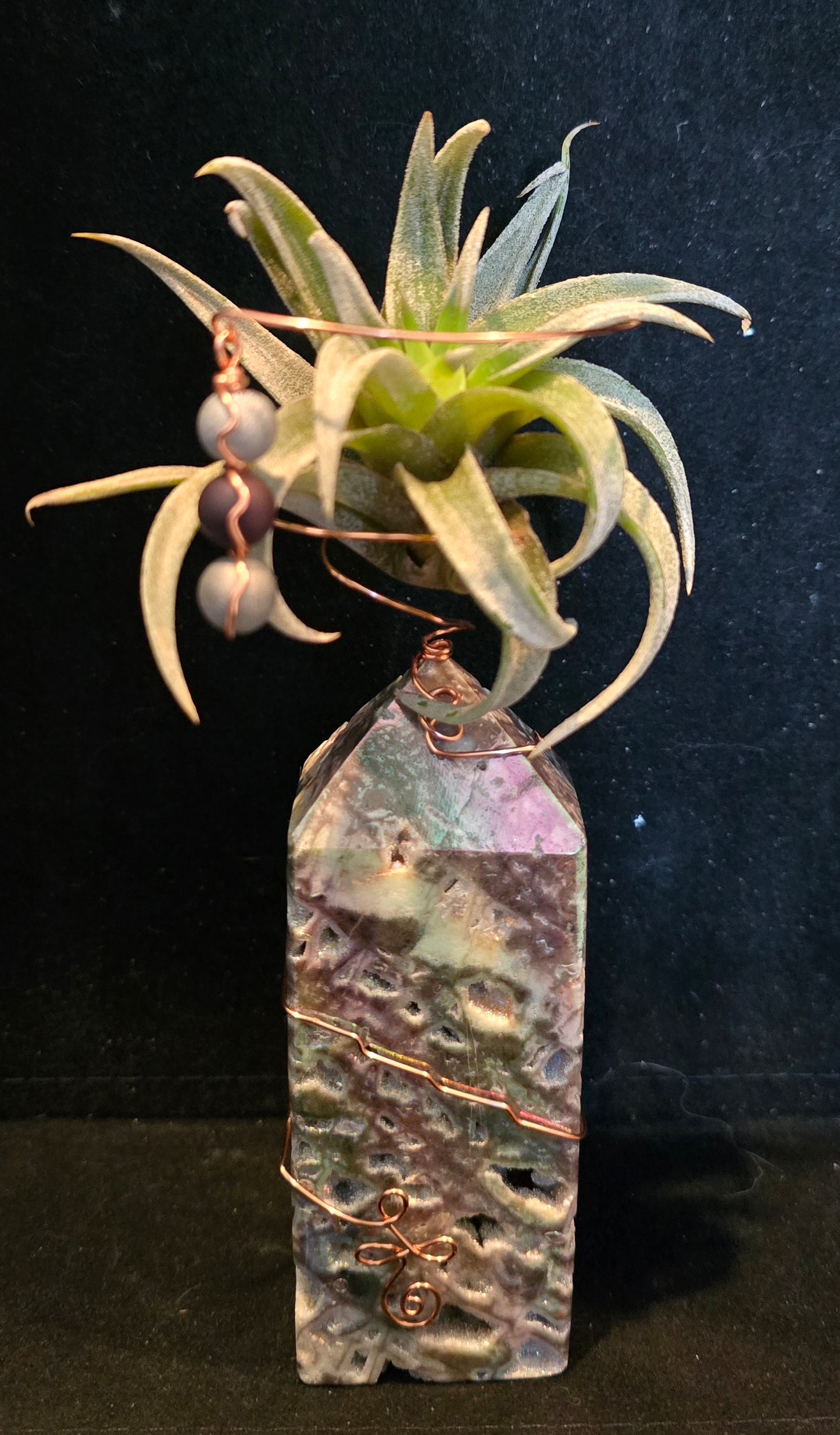 Elemental Crystal Keepers - Air Plant Holder