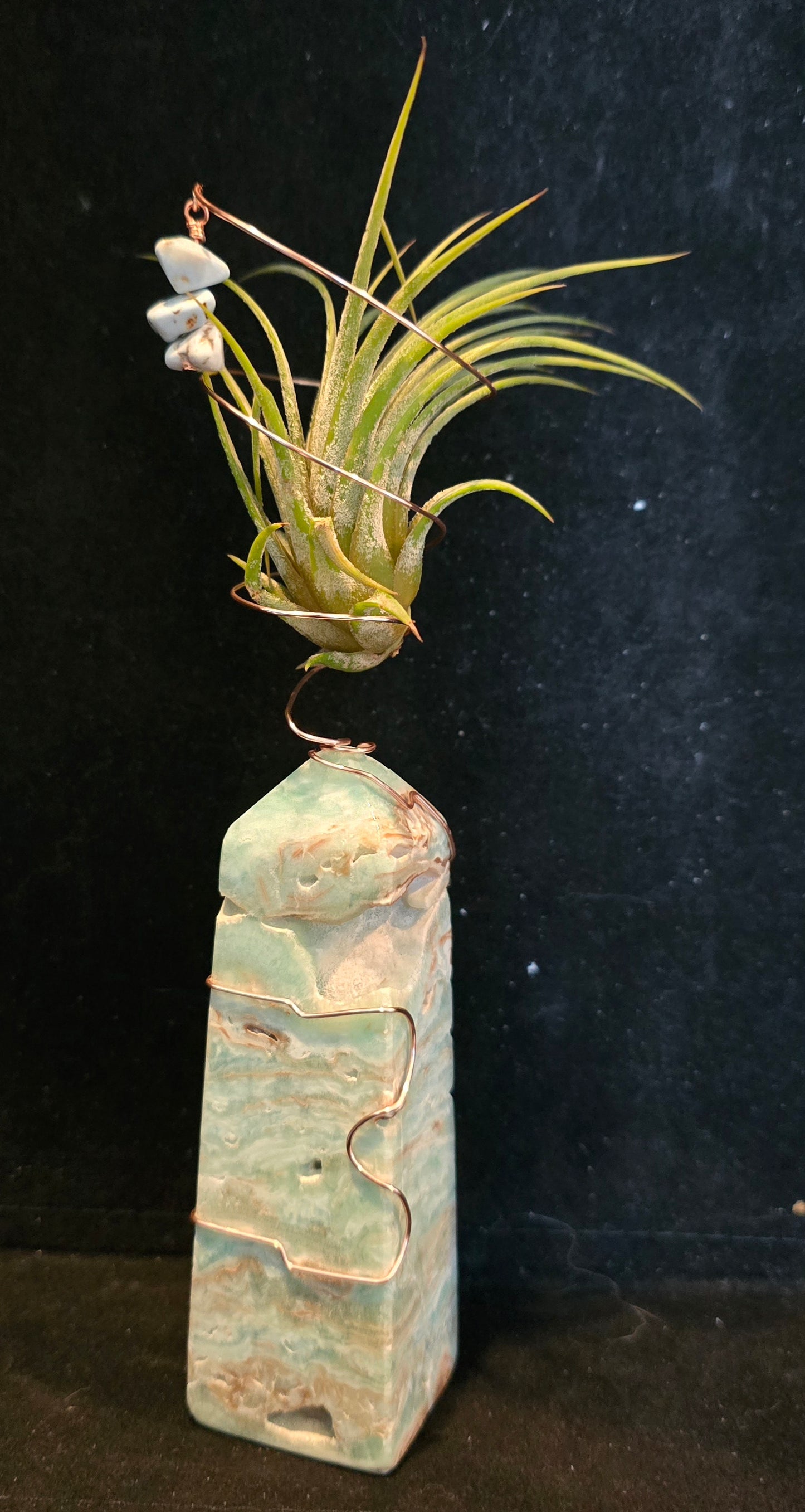 Elemental Crystal Keepers - Air Plant Holder