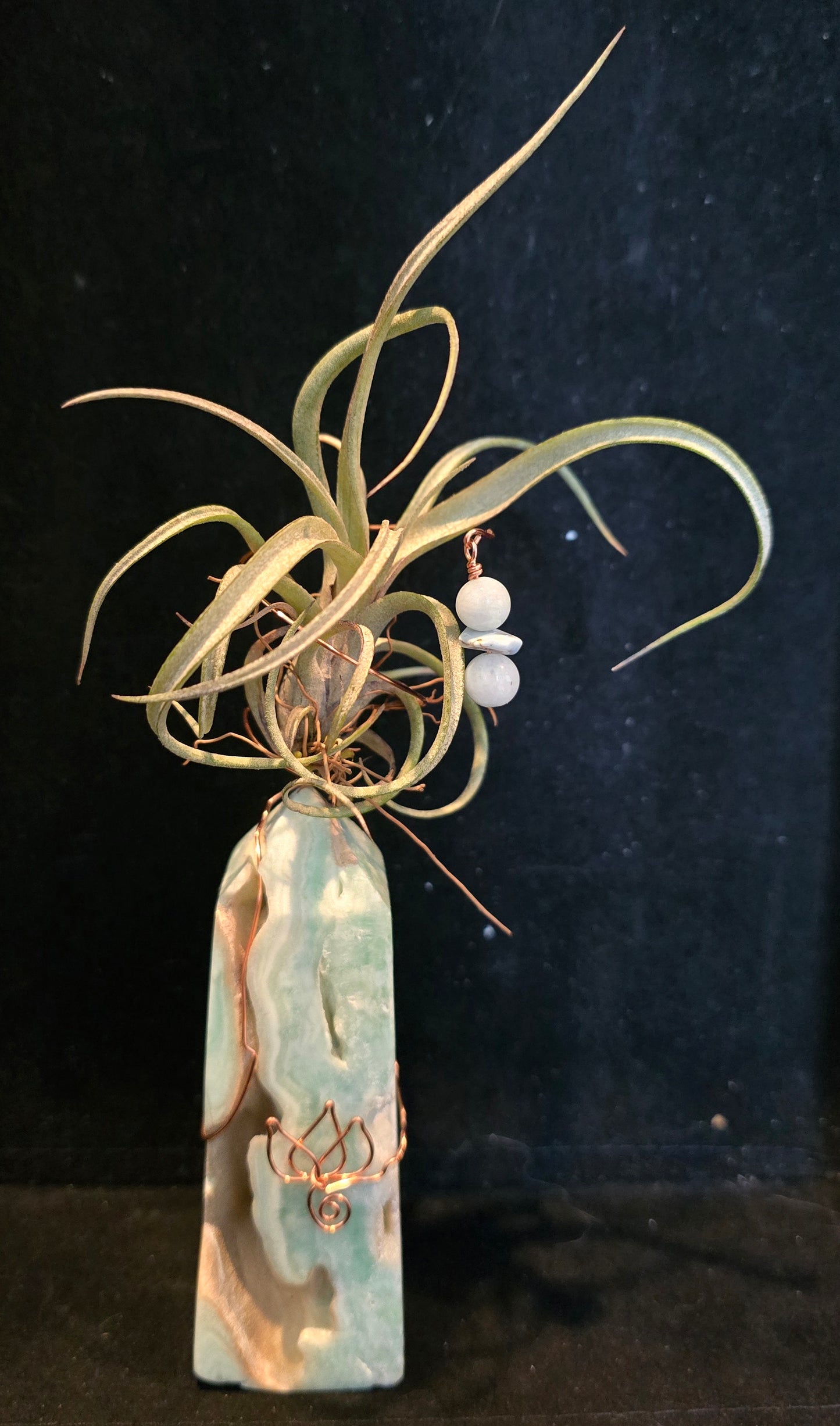 Elemental Crystal Keepers - Air Plant Holder