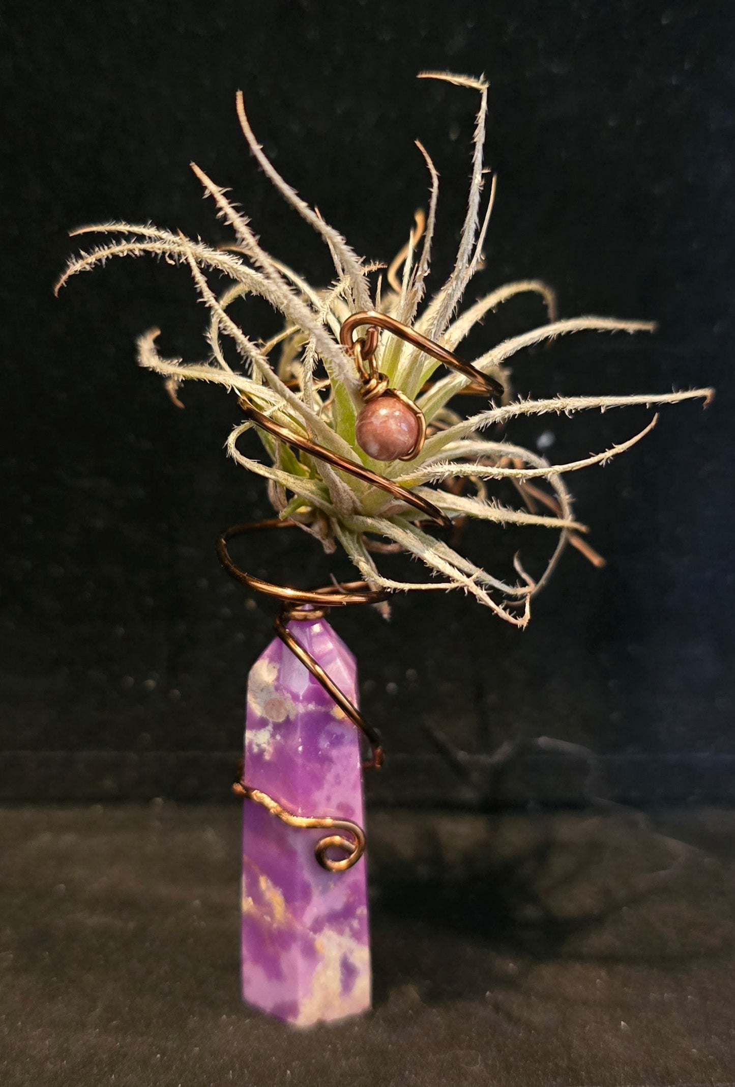 Elemental Crystal Keepers - Air Plant Holder