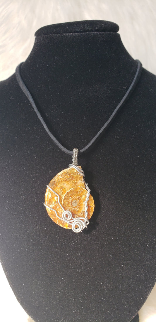 Converting Energy - Ammonite